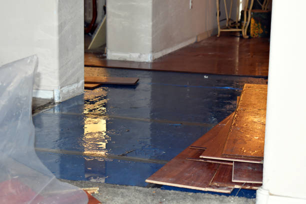 Professional Basement Flood Cleanup technician working in Wittmann, AZ